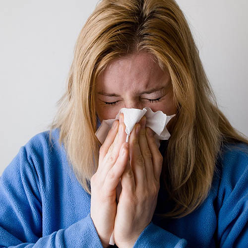 Vue interieure de la Pharmacie Girot